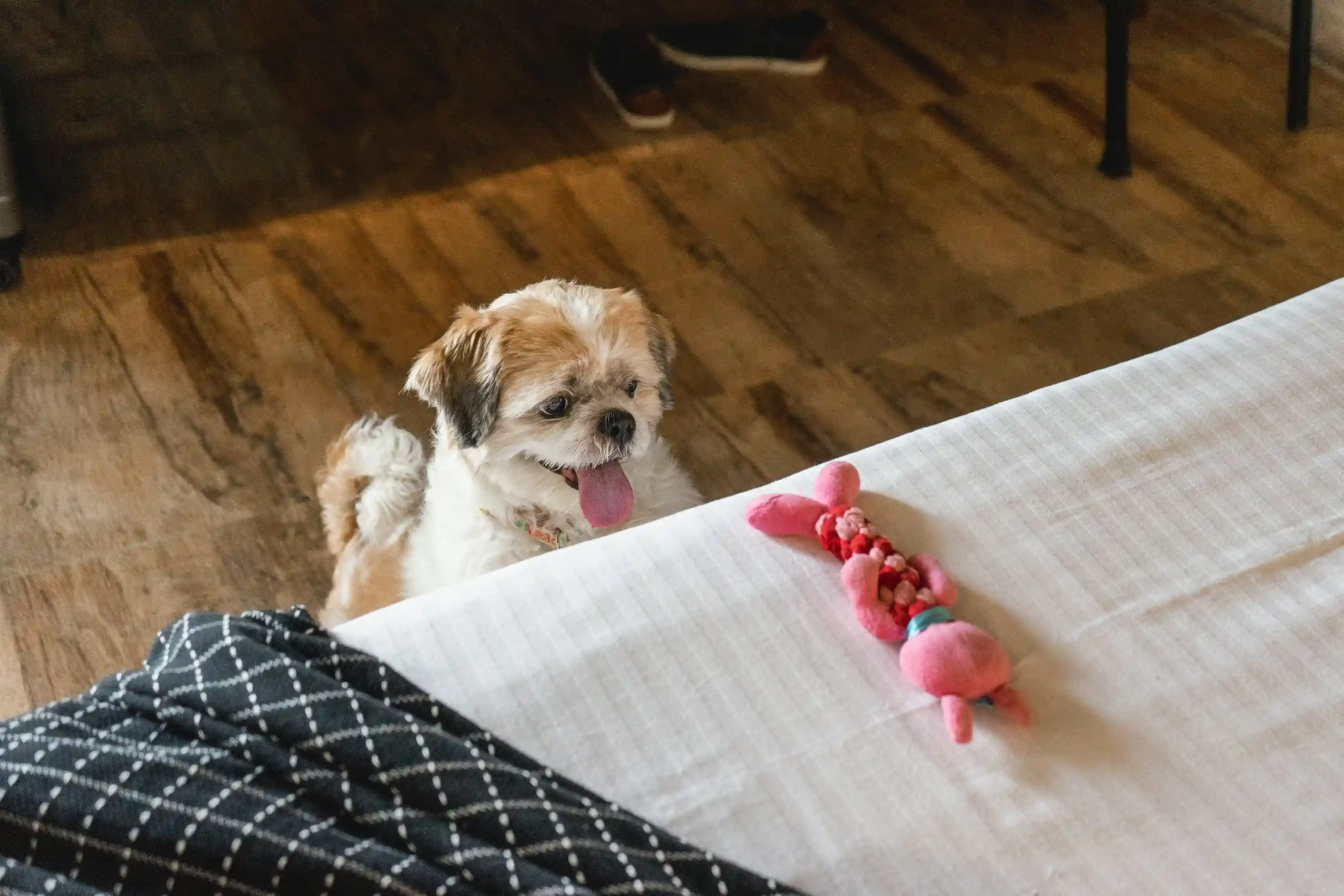 click to zoom Penthouse