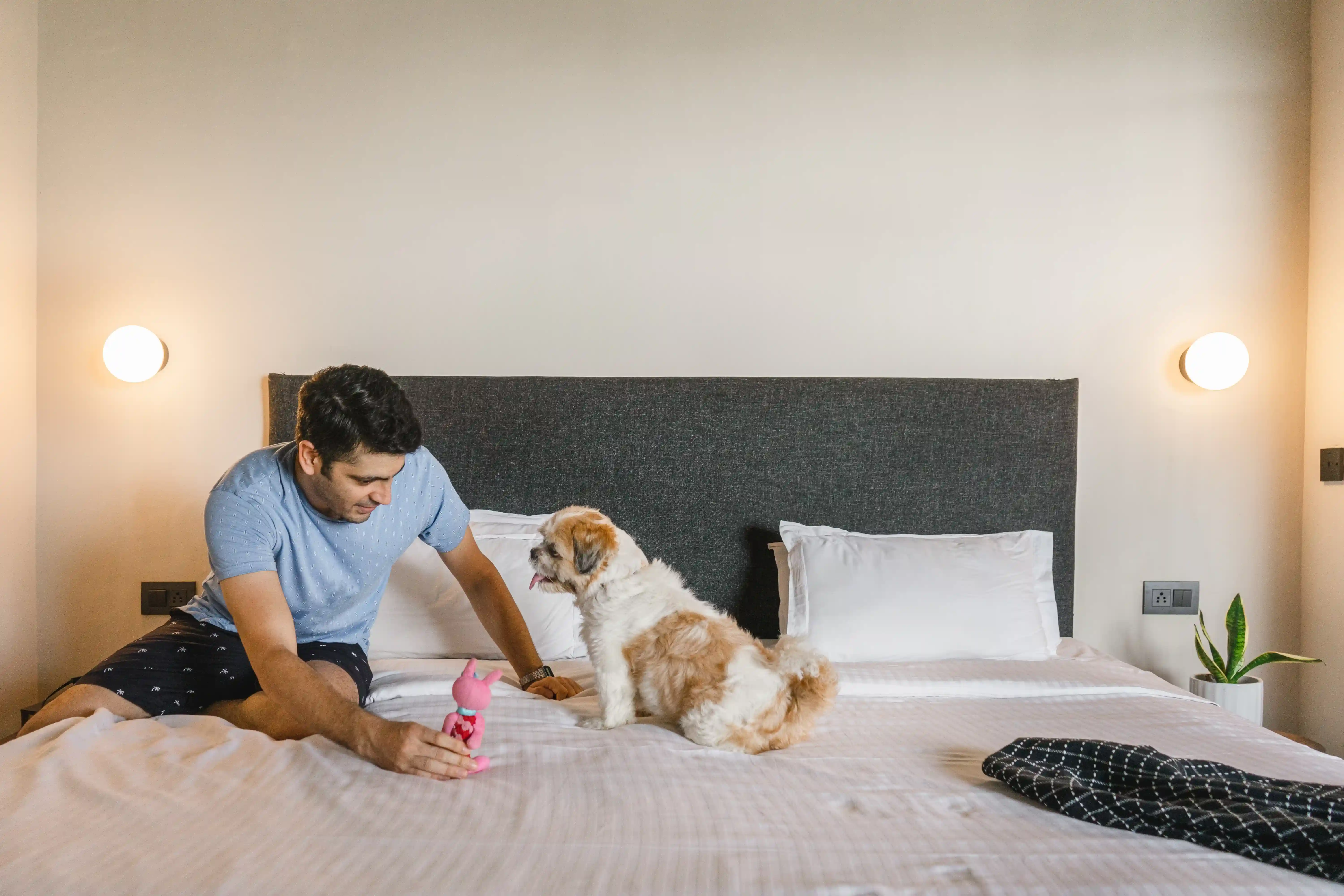 Scandinavian Simplicity. Bohemian Charm