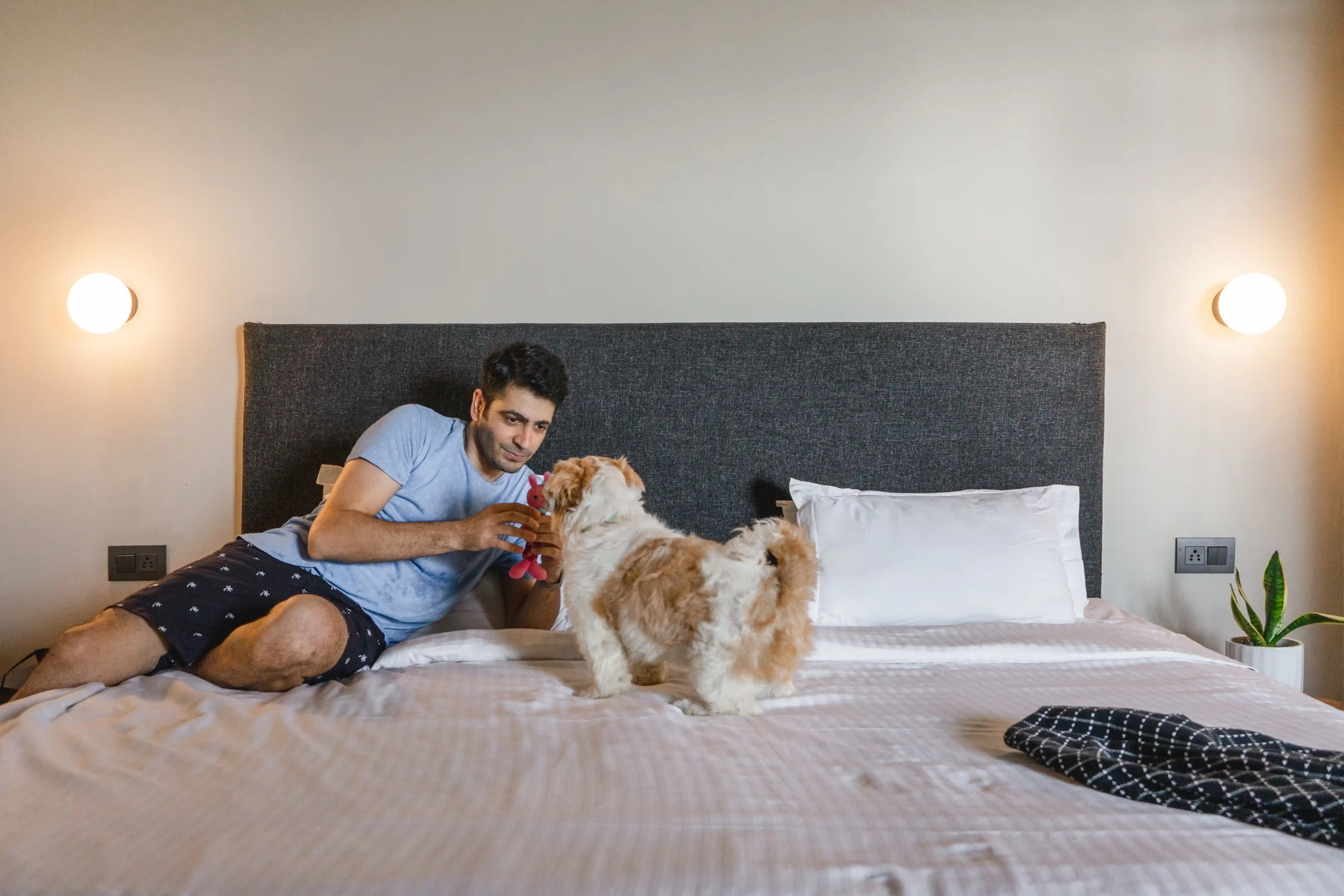 click to zoom Penthouse